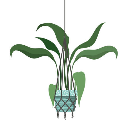 Incorporating Indoor Plants: Vastu and Wellness