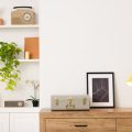 Smart Storage Ideas: Budget-Friendly Solutions for a Premium Look in Indian Homes