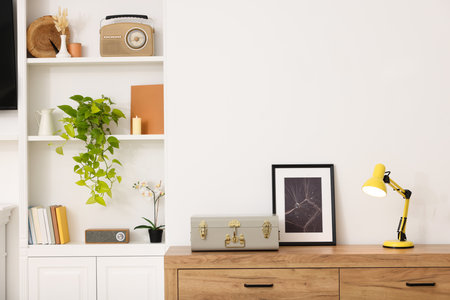 Smart Storage Ideas: Budget-Friendly Solutions for a Premium Look in Indian Homes