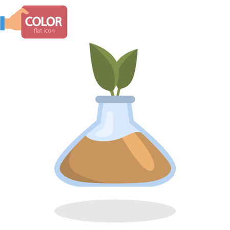 Understanding Regional Styles and Craft Techniques