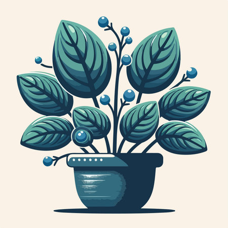 Popular Indoor Plants in Indian Homes